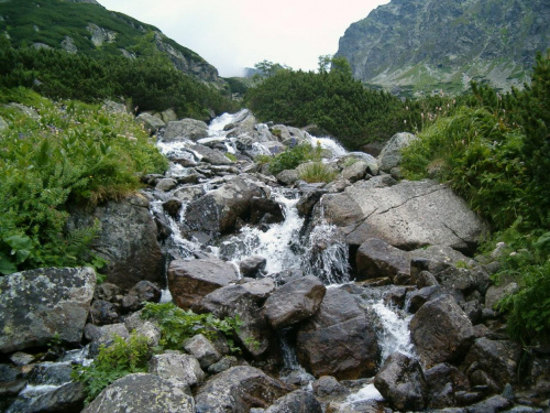 Hińczowy Potok #Tatry #góry