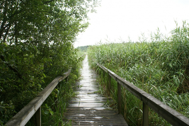 Polesie, Park Narodowy