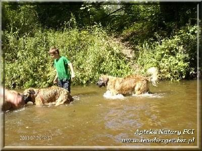 #leonberger #AptekaNatury