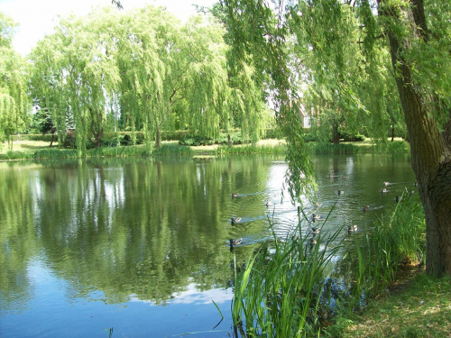 Gdansk - Orunia w parku