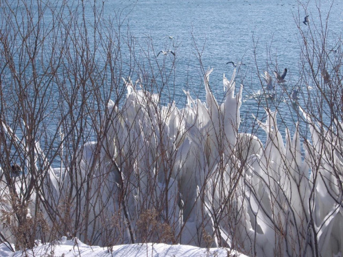 jezioro Ontario - luty 2007 (-25st. C.) #Canada #jeziora #JezioroOntario #Kanada #widoki #krajobrazyToronto #zima