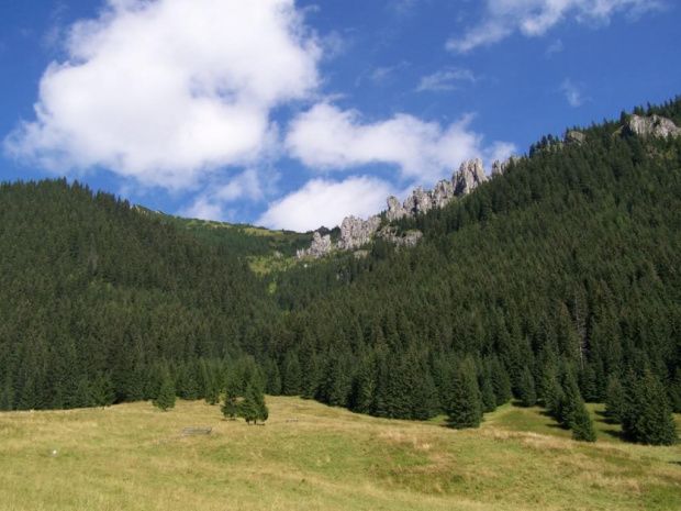 #tatry #DolinaChochołowska