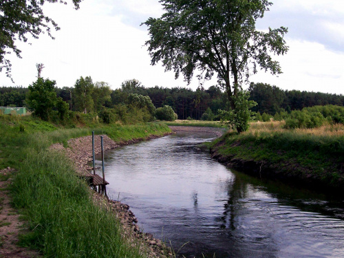 Rzeka Ina w Goleniowie , 26-06-2008