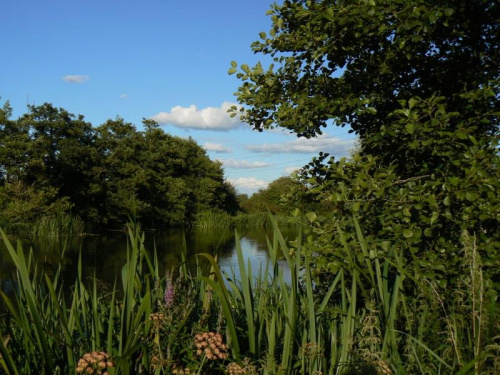 Kennet and Avon Canal