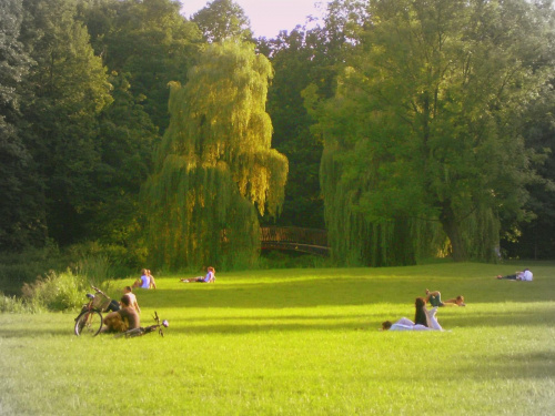 Piknik w Pszczyńskim parku