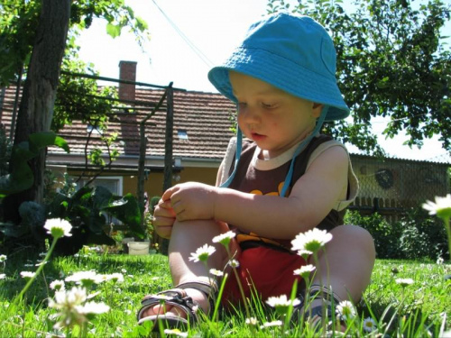 moje ulubione kwiatuszki :) #DzieckoWieśZabawa