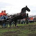 JARANTÓW 2008 Mistrzostwa Świata w Powożeniu Zaprzęgami Jednokonnymi