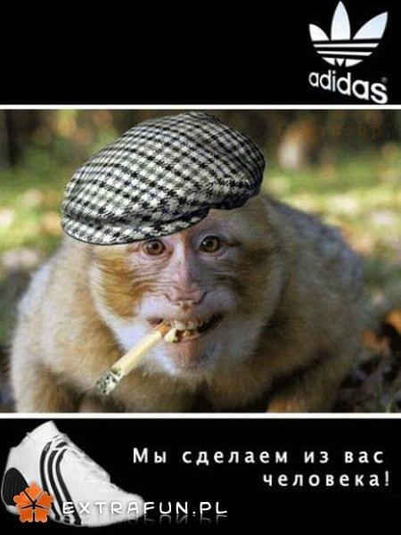 www.extrafun.pl #extrafun