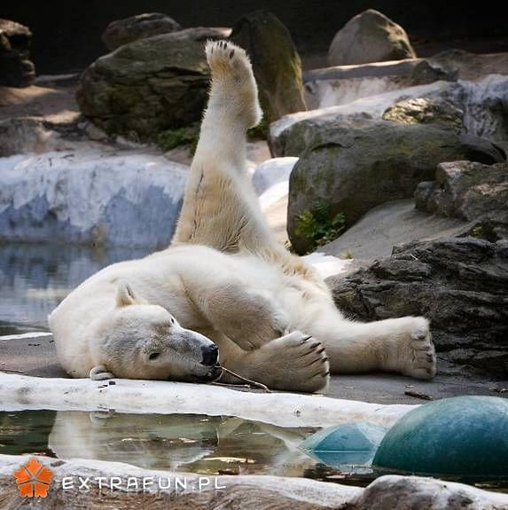 www.extrafun.pl #extrafun