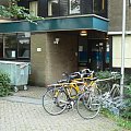 akademik