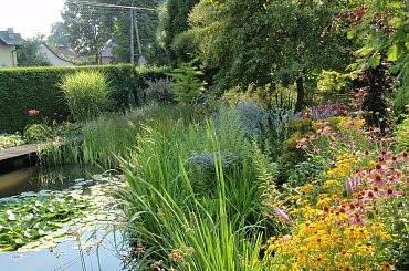 Ogród Państwa Kapiasów, Goczałkowice #kwiaty #oczko #RoślinnośćWodna #ogród