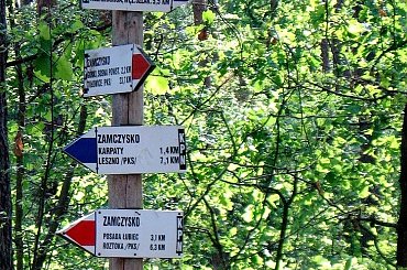 #PuszczaKampinoska #las #szlak #rower