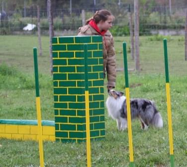 #Snickers_agility