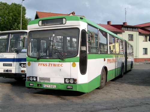 Zemun #ZemunIkarusJelczAutobusIk160