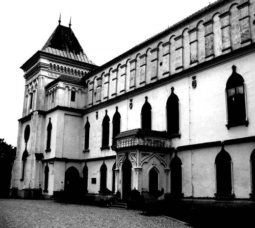 Zamek Przecław - k. Mielca