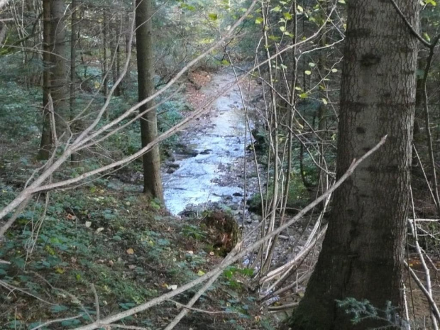 Bieszczady