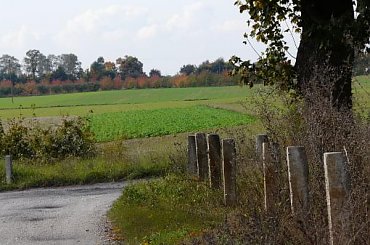 jesienny krajobraz #jesień #Morzewiec