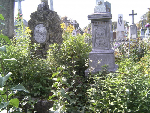 Polskie cmentarez na Ukrainie--