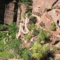 USA ZION NP