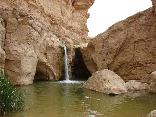 Góry Atlas - oaza Tamerza - Grand Cascade