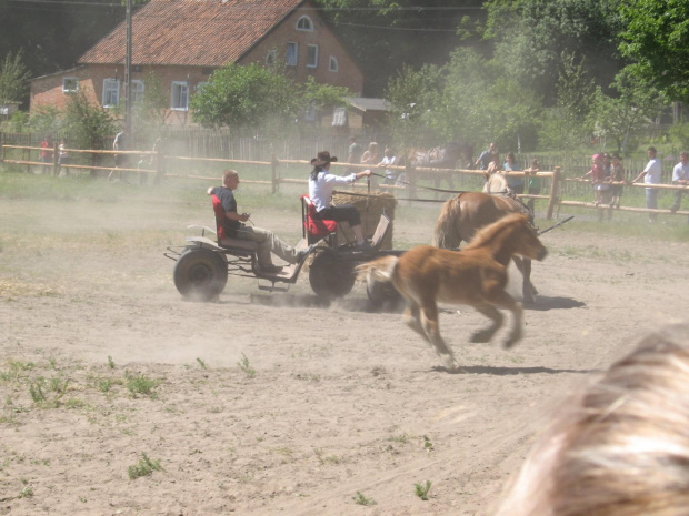 źrebak ma na razie lepszy czas od matki;) - Kaśka na trasie konkursu Zręczności powożenia