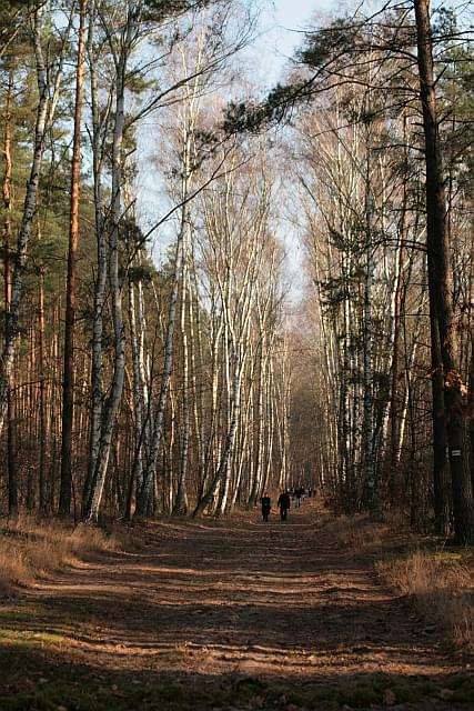 Kampinos 9.11