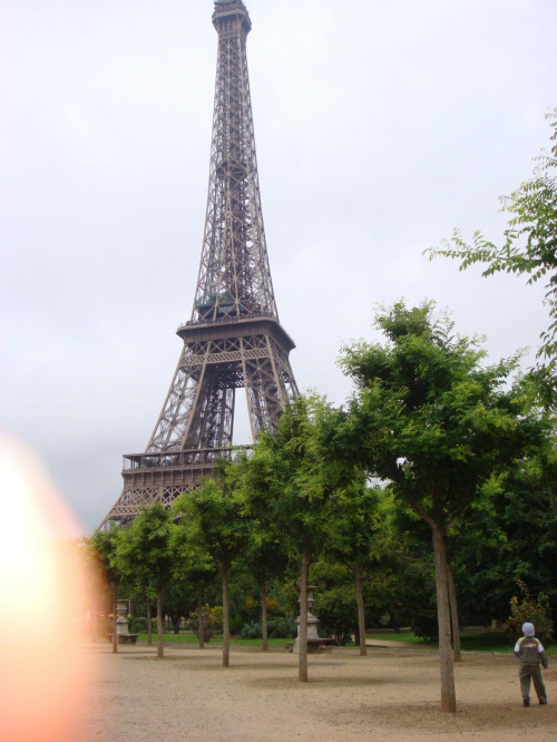 wieża Eifla francja paryż