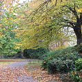 park Saint Stephens Green