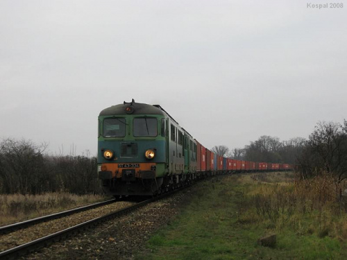15.11.2008 Laski Odrzańskie ST43-335 + ST43-080 zbliżają się do Lasek Odrzańskich z pociągiem kontenerowym z Czerwieńska do Guben.