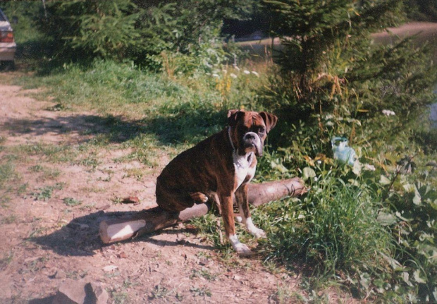 Dora [*] Bieszczady '97