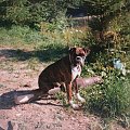 Dora [*] Bieszczady '97