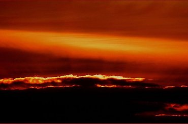 Rano przed wyjściem w teren #woda #ptaki #czaple #kaczki #jesień