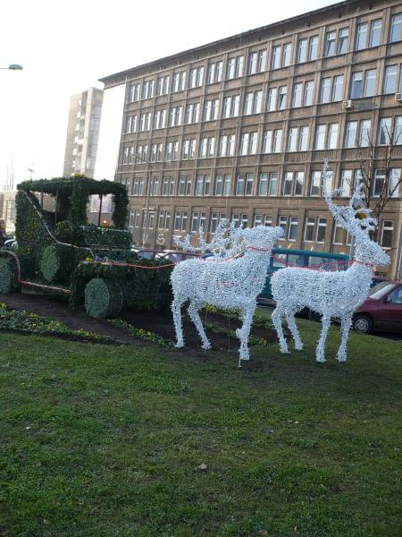 moje miasto