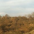 Widok na fragment doliny rzeki Mlecznej z grodziska Piotrówka w Radomiu. #Radom #widok #zabytek #grodzisko #turystyka #Mleczna #miasto