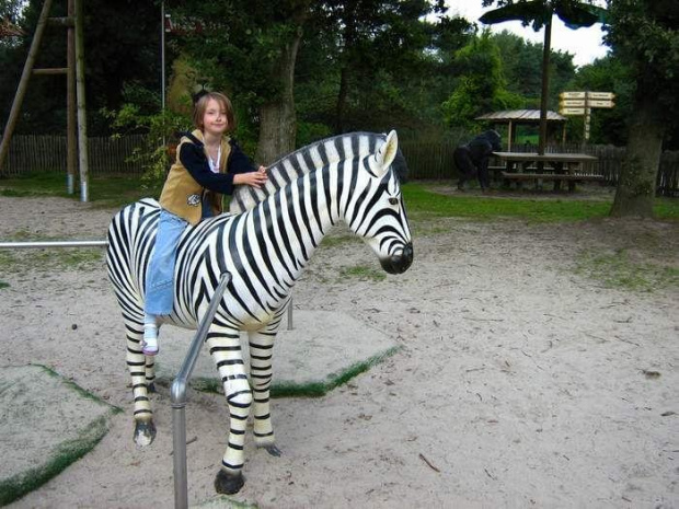 zebra, ale sztuczna