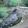 Cypr-Elia Bridge-średniowieczny wenecki most #most #Cypr #jesień #las #rzeczka #kamienny #drzewa