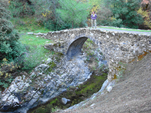 Cypr-Elia Bridge-średniowieczny wenecki most #most #Cypr #jesień #las #rzeczka #kamienny #drzewa