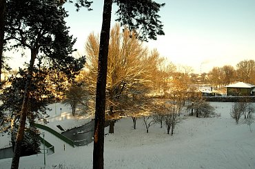 Brzeg Czarnej Hańczy #rzeka #drzewa #zima #Suwałki #CzarnaHańcza