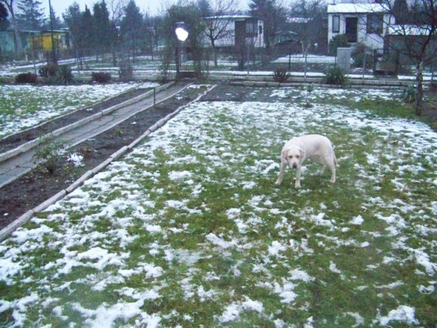 Cieczka,areszt i takie tam... :-)