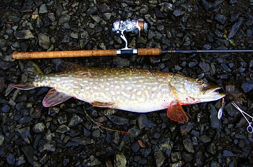 #czupak #muckno #szaman #jezioro #irlandia #lake #spininng