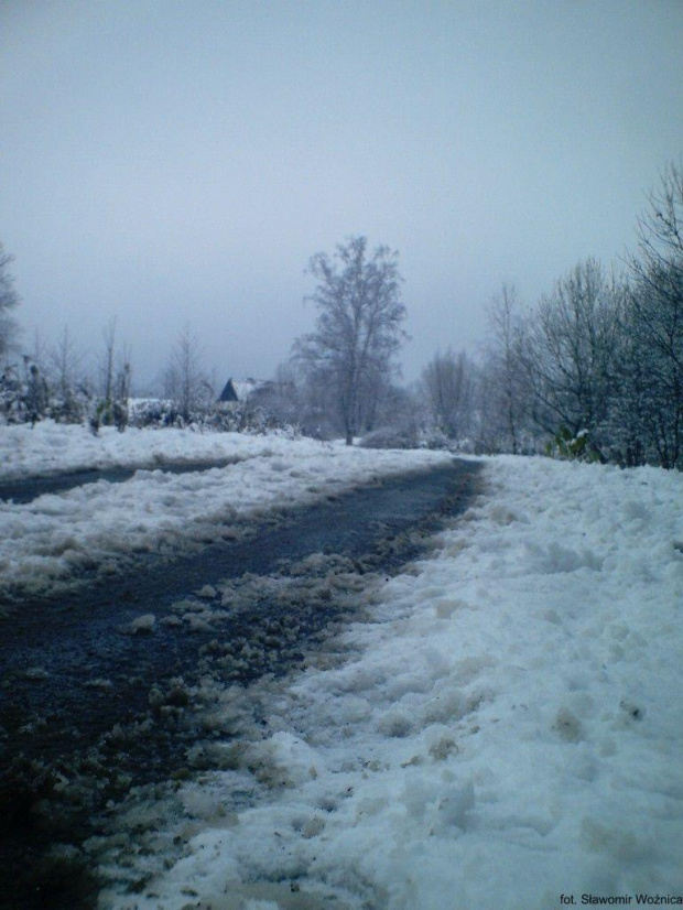 #droga #Lubomierz #drzewa #snieg #zima