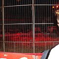 cyrk Zalewski zakaz kopiowania zdjęć zapraszamy na www.cyrk-fan.com zapraszamy #CyrkZalewski