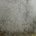 Zima 2006 #Śnieg #Zima