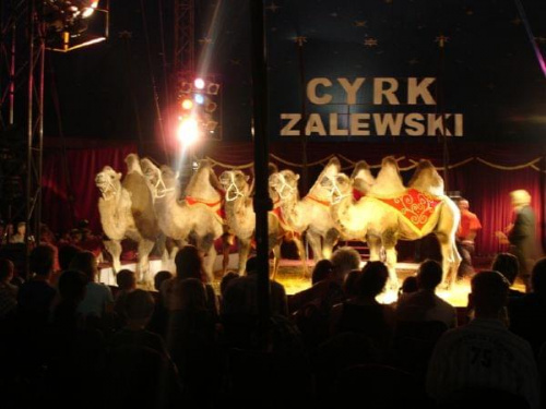 Cyrk Zalewski 2006 Zakaz kopiowania zdjęć zapraszamy na www.cyrk-fan.com #CyrkZalewski