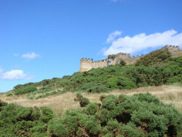 Scarborough - Whitby, północne clify Anglii, zdjęcia z wakacji 2007.