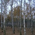 #Łódź