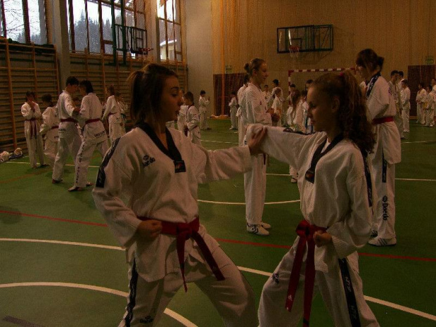 seminarium z MIstrzem Kang Cheol In 7 dan #taekwondo #tkd #walka #zawody