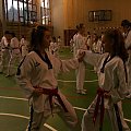 seminarium z MIstrzem Kang Cheol In 7 dan #taekwondo #tkd #walka #zawody