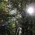 Park Południowy