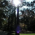 Park Południowy
